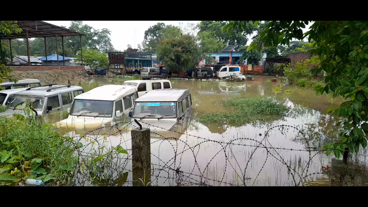 झाझ खोलामा आएको बाढीका कारण गौर डुबान