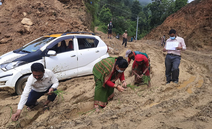 गोरखामा जनप्रतिनिधि र स्थानीयले सडकमै कोदो रोपेर विरोध